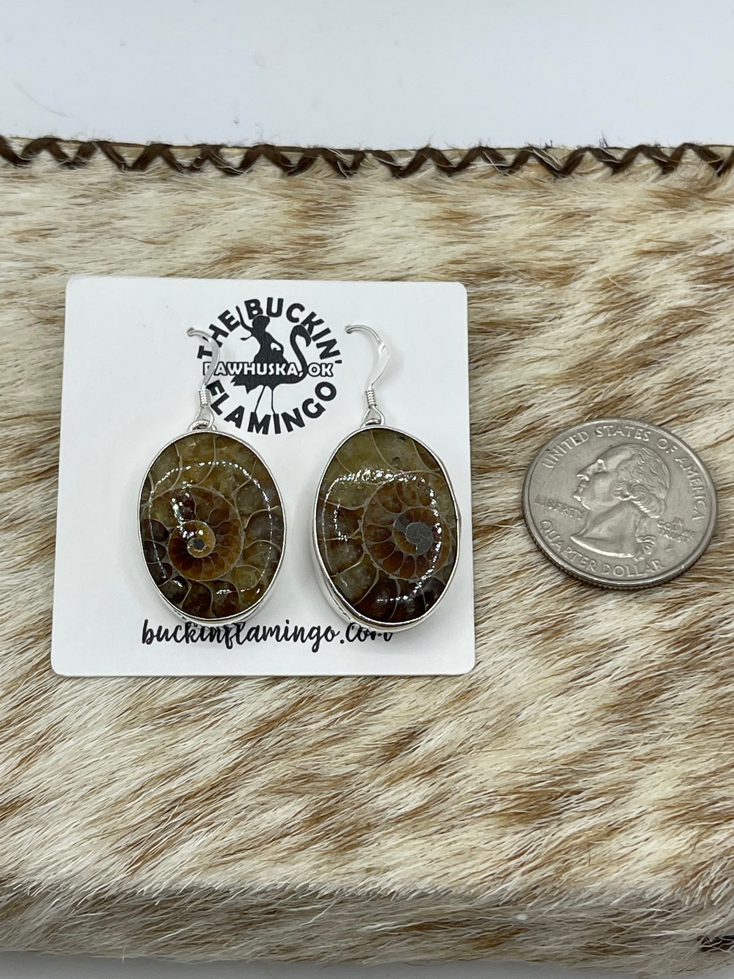 Oval Moroccan Ammonite Fossil Dangle Earrings by Dvane Smith, Navajo