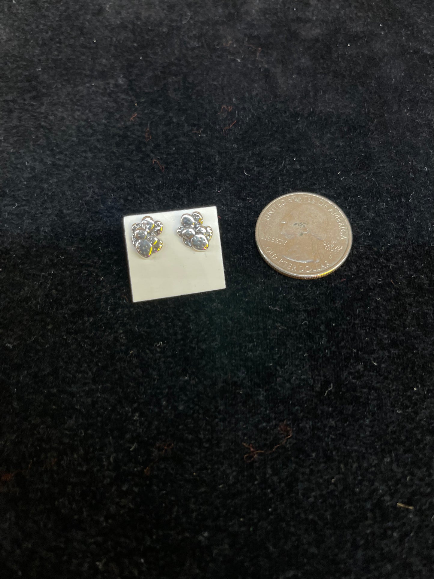 Sterling Silver Cactus Cluster Post Earrings