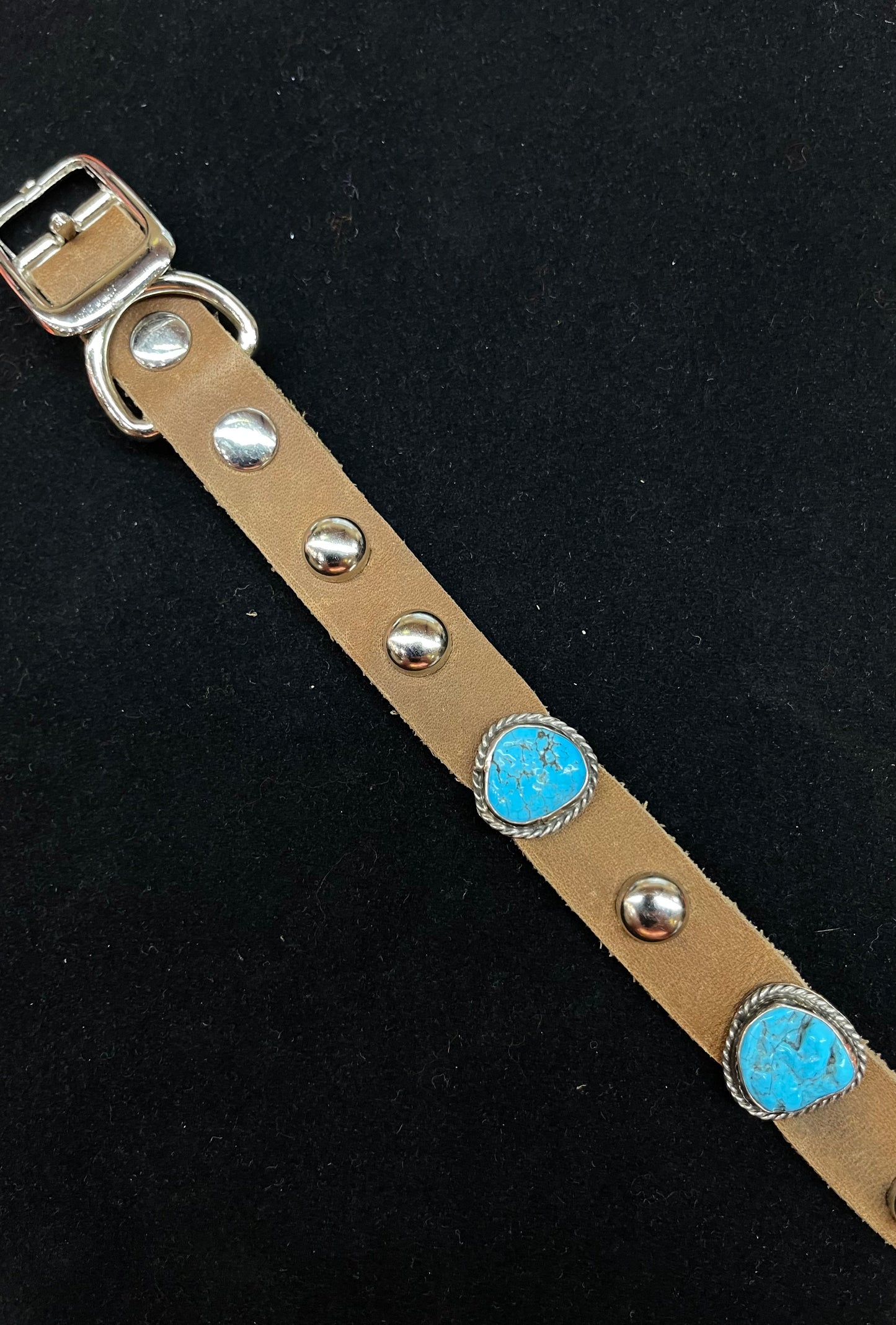 16" Leather Dog Collar with Kingman Turquoise Stones by Julia Etsitty, Navajo