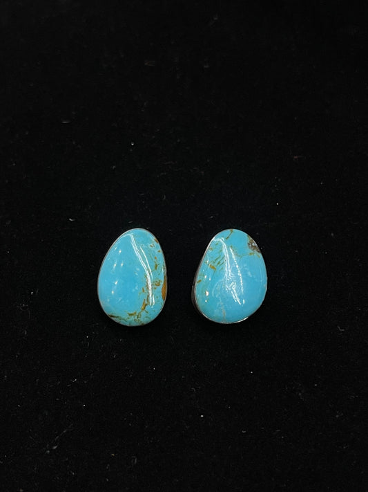 Sleeping Beauty Turquoise Post Earrings by Sharon McCarthy, Navajo