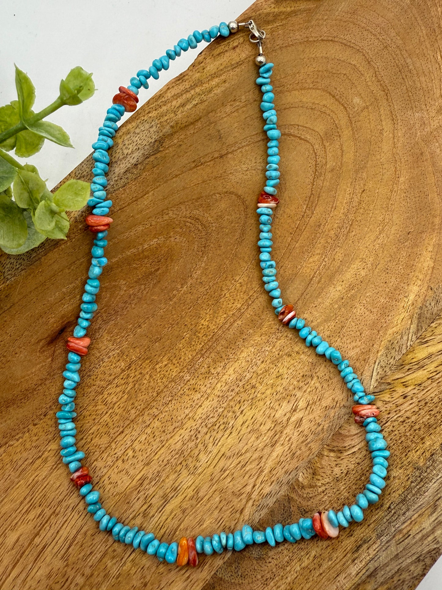 18" Turquoise & Spiny Oyster Necklace