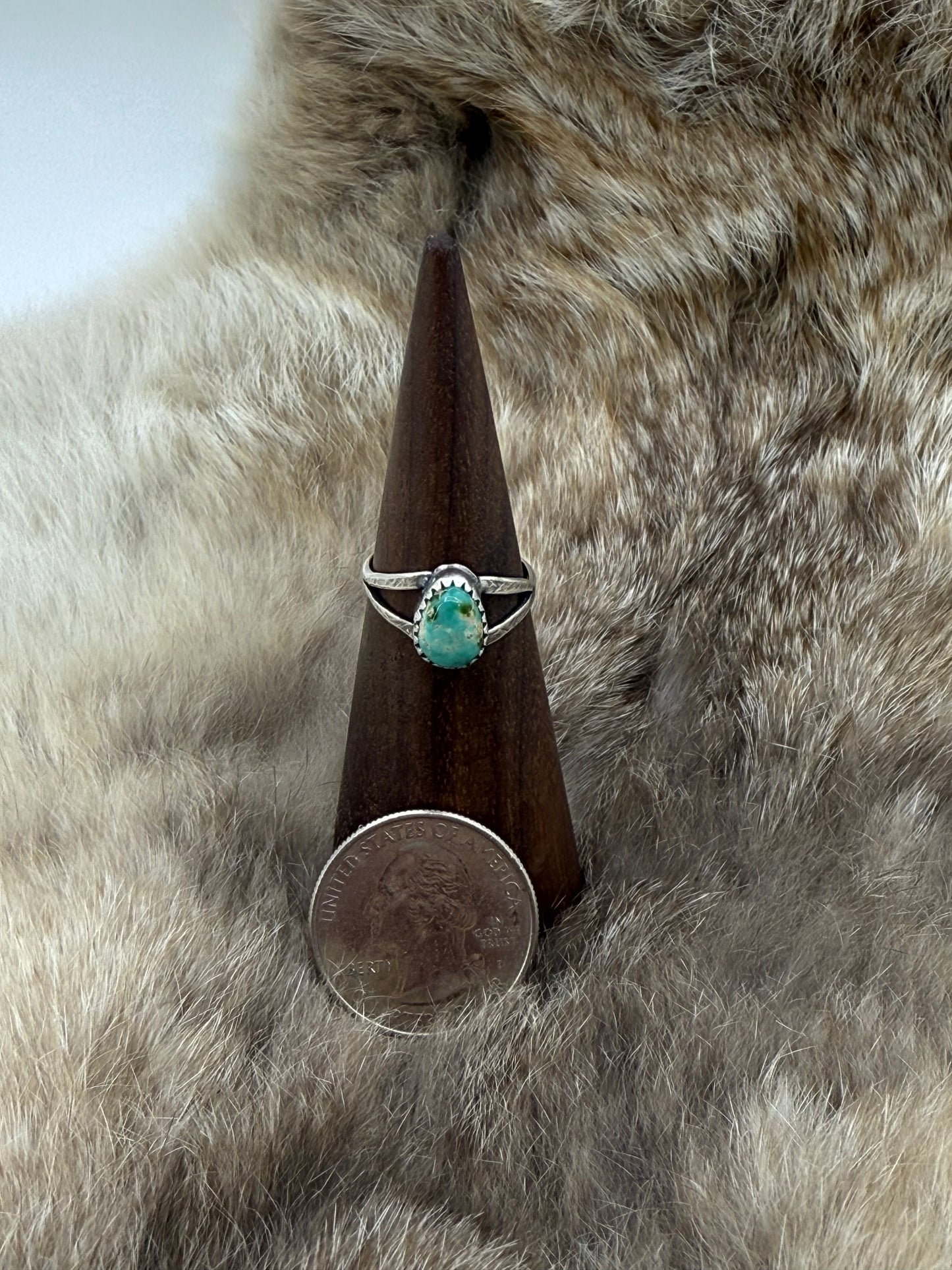 6.0 Sonoran Gold Turquoise Single Stone Ring by Gerald Joe, Navajo