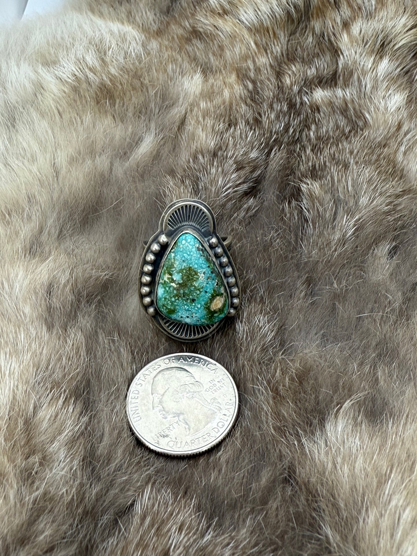 9.0 Sonoran Gold Turquoise Ring