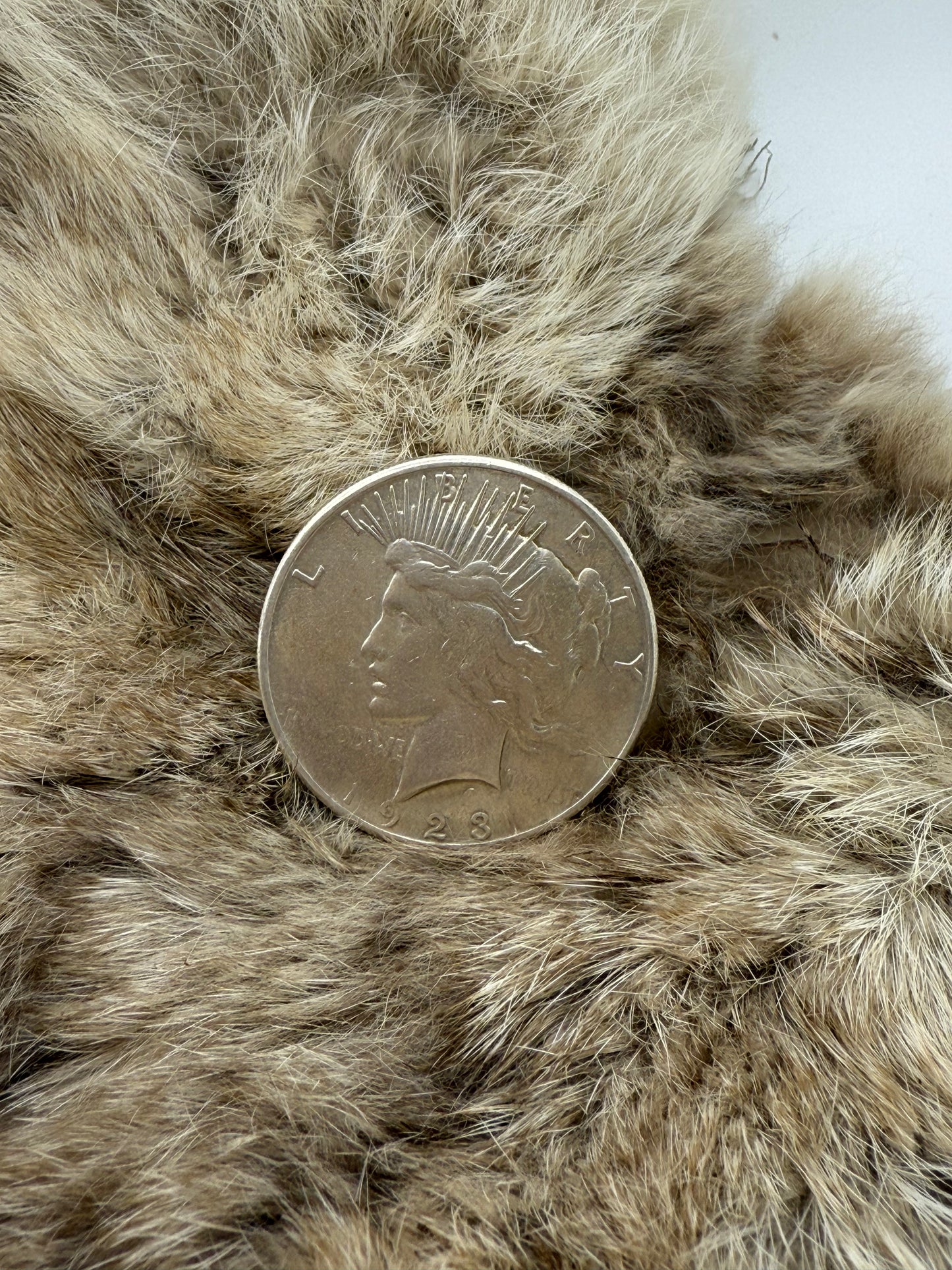 9.0 1923 Silver Dollar Ring by Lauren Garnett