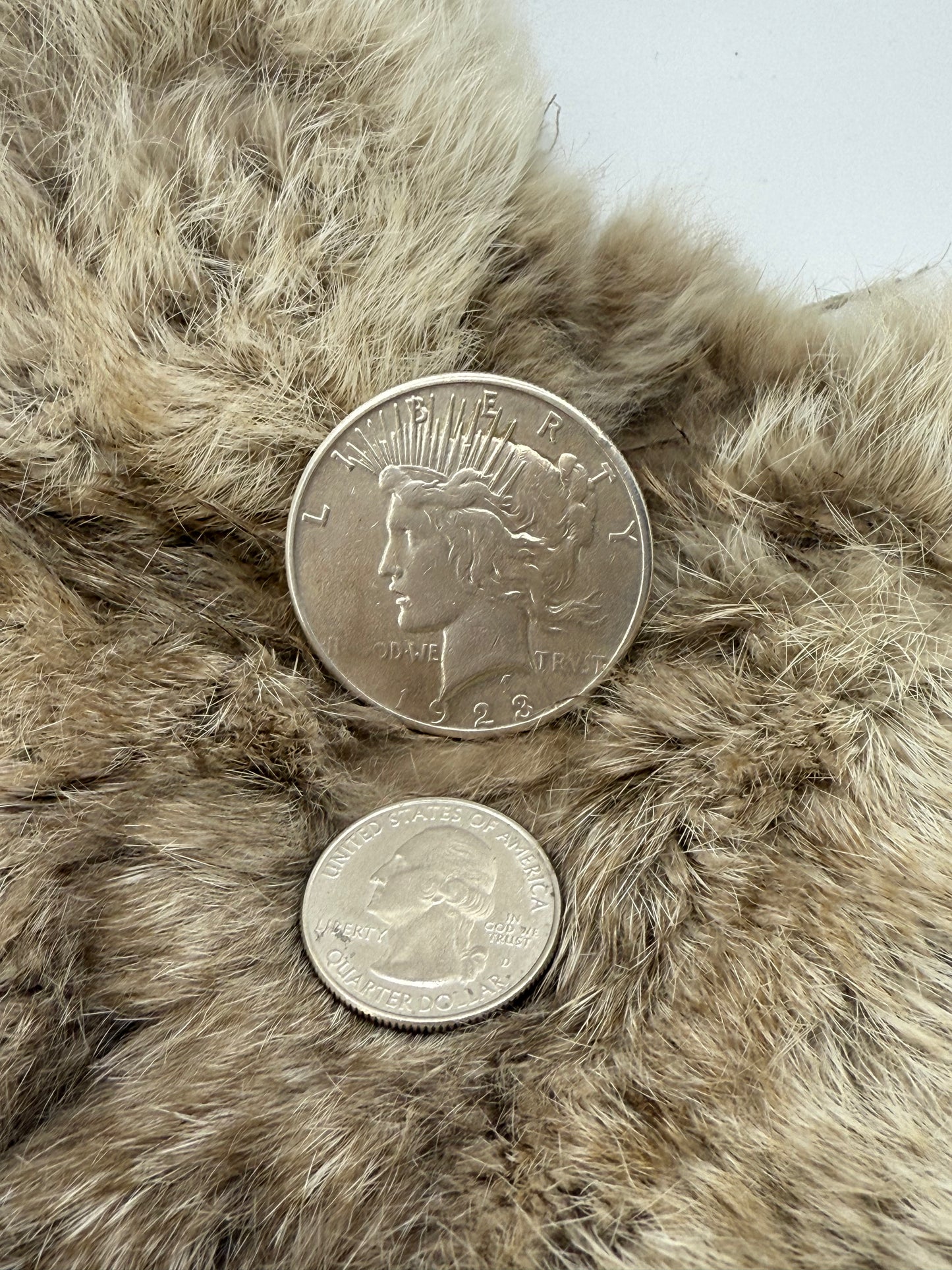 9.0 1923 Silver Dollar Ring by Lauren Garnett