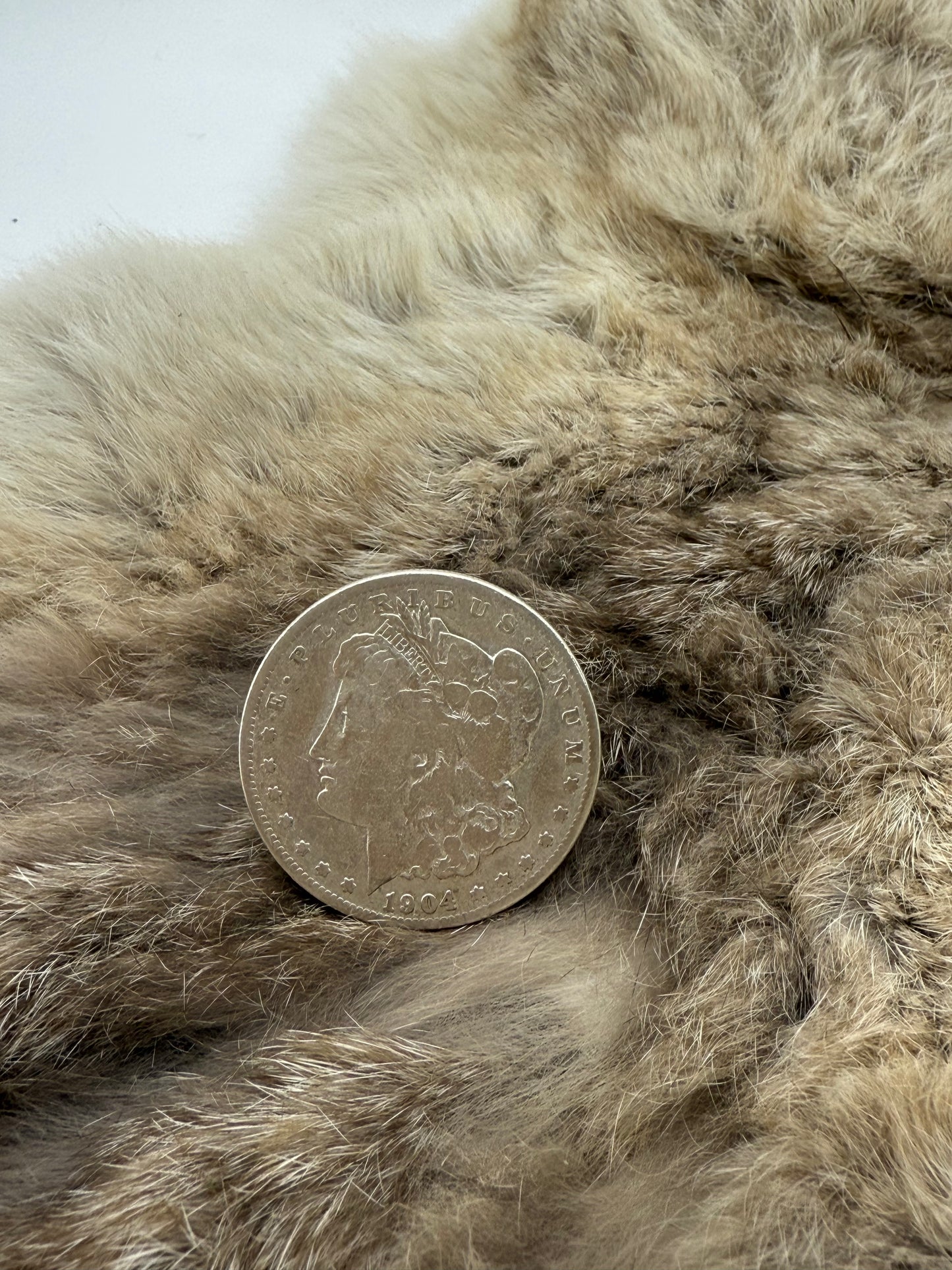 11.0 1904 Silver Dollar by Lauren Garnett