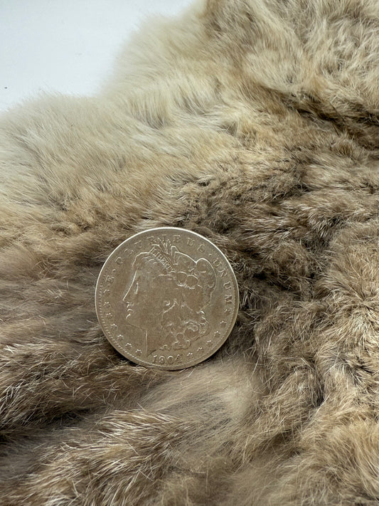 11.0 1904 Silver Dollar by Lauren Garnett