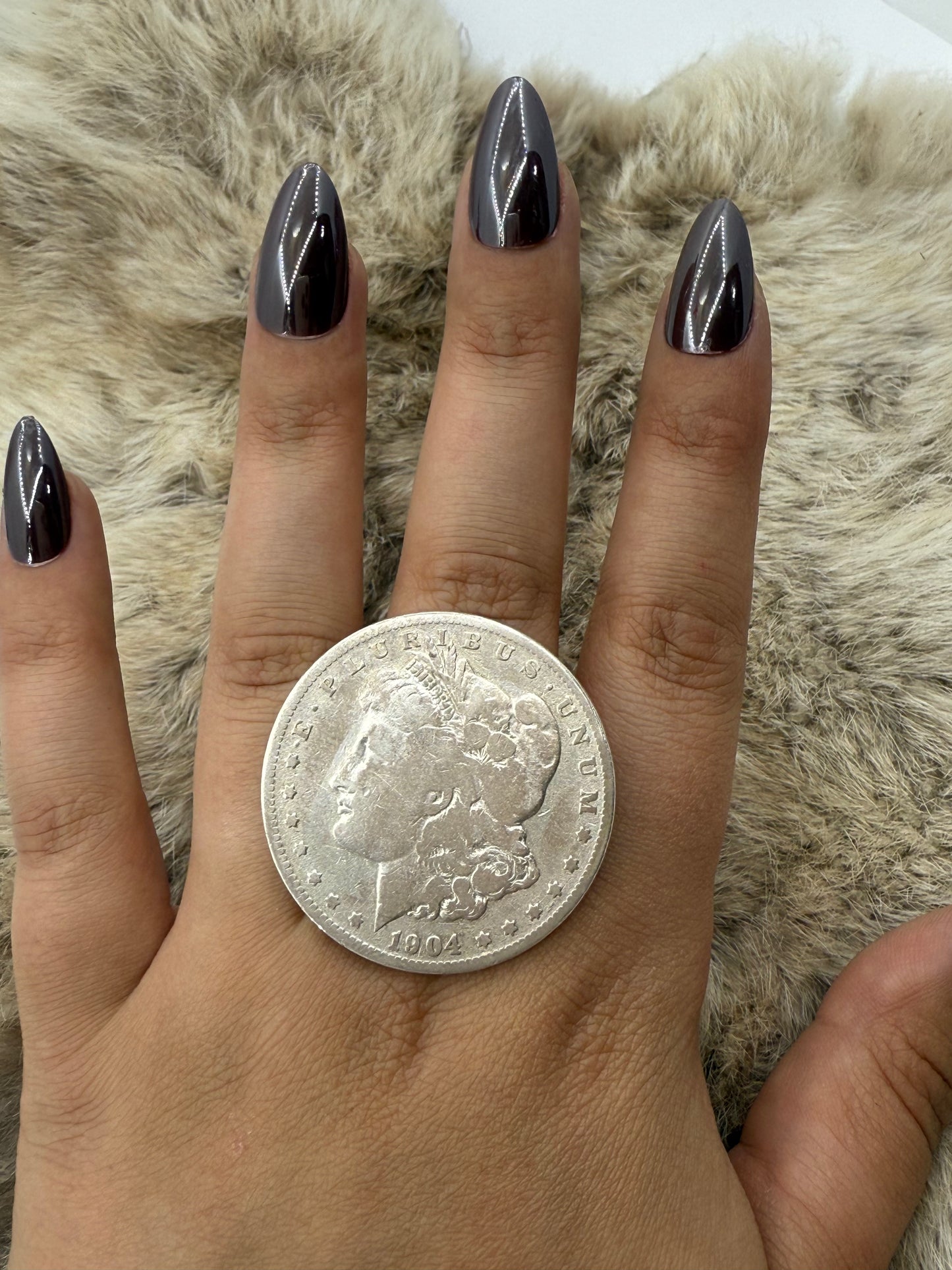 11.0 1904 Silver Dollar by Lauren Garnett