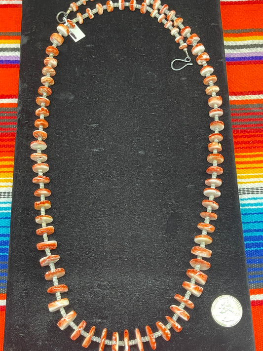 Graduated Spiny Oyster and Clam Shell Necklace