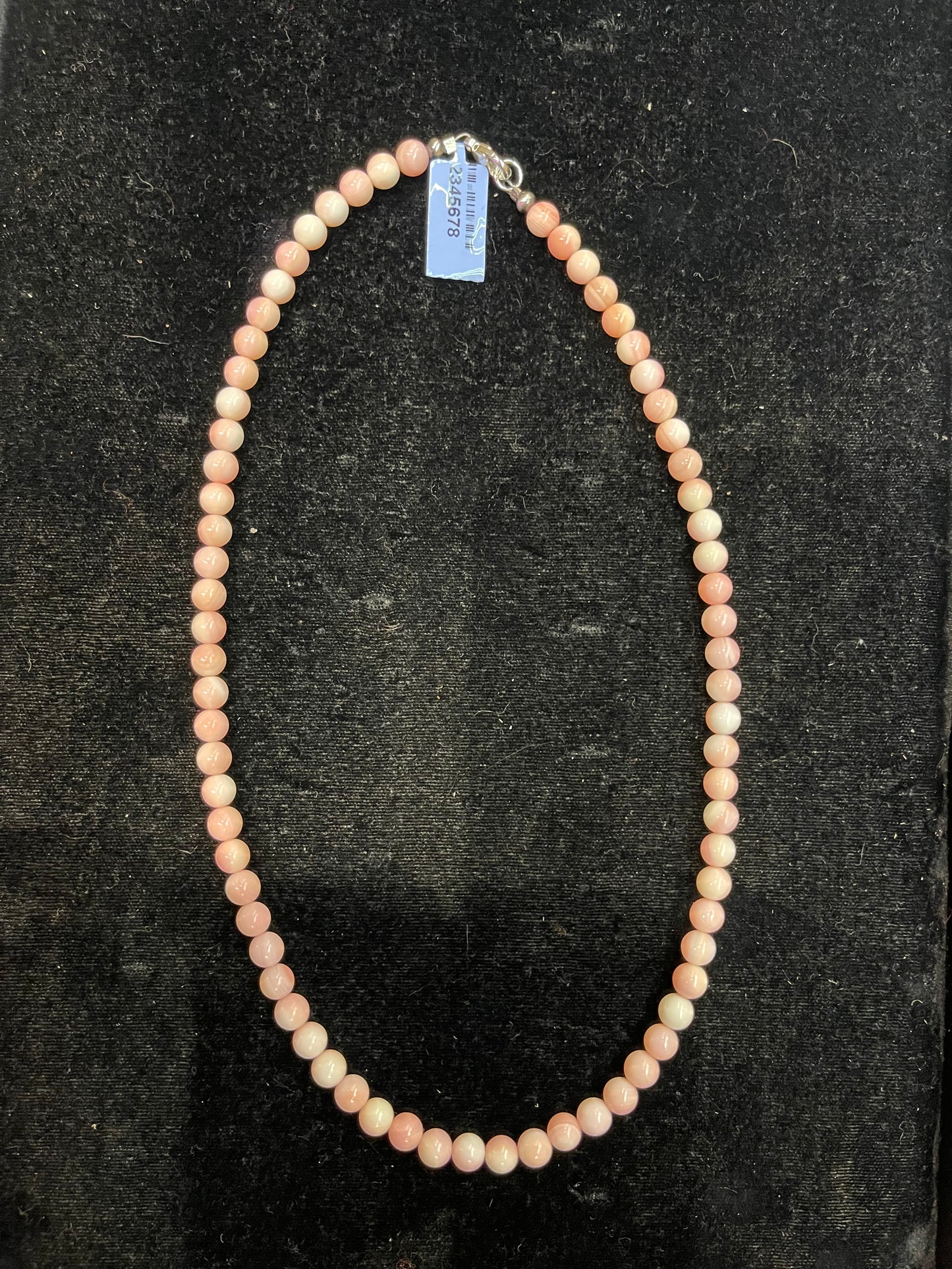 Pink Conch Shell 6mm 18" Necklace