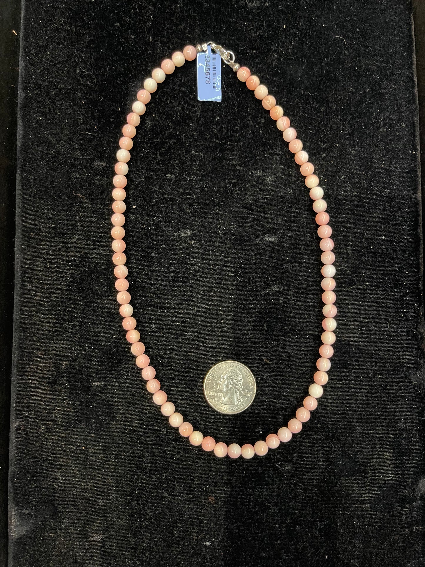 Pink Conch Shell 6mm 18" Necklace