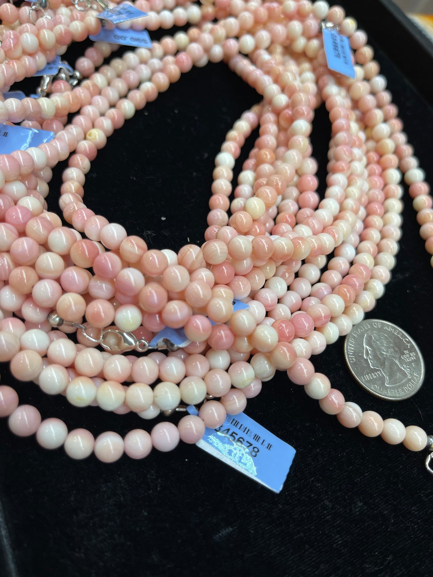 Pink Conch Shell 6mm 18" Necklace