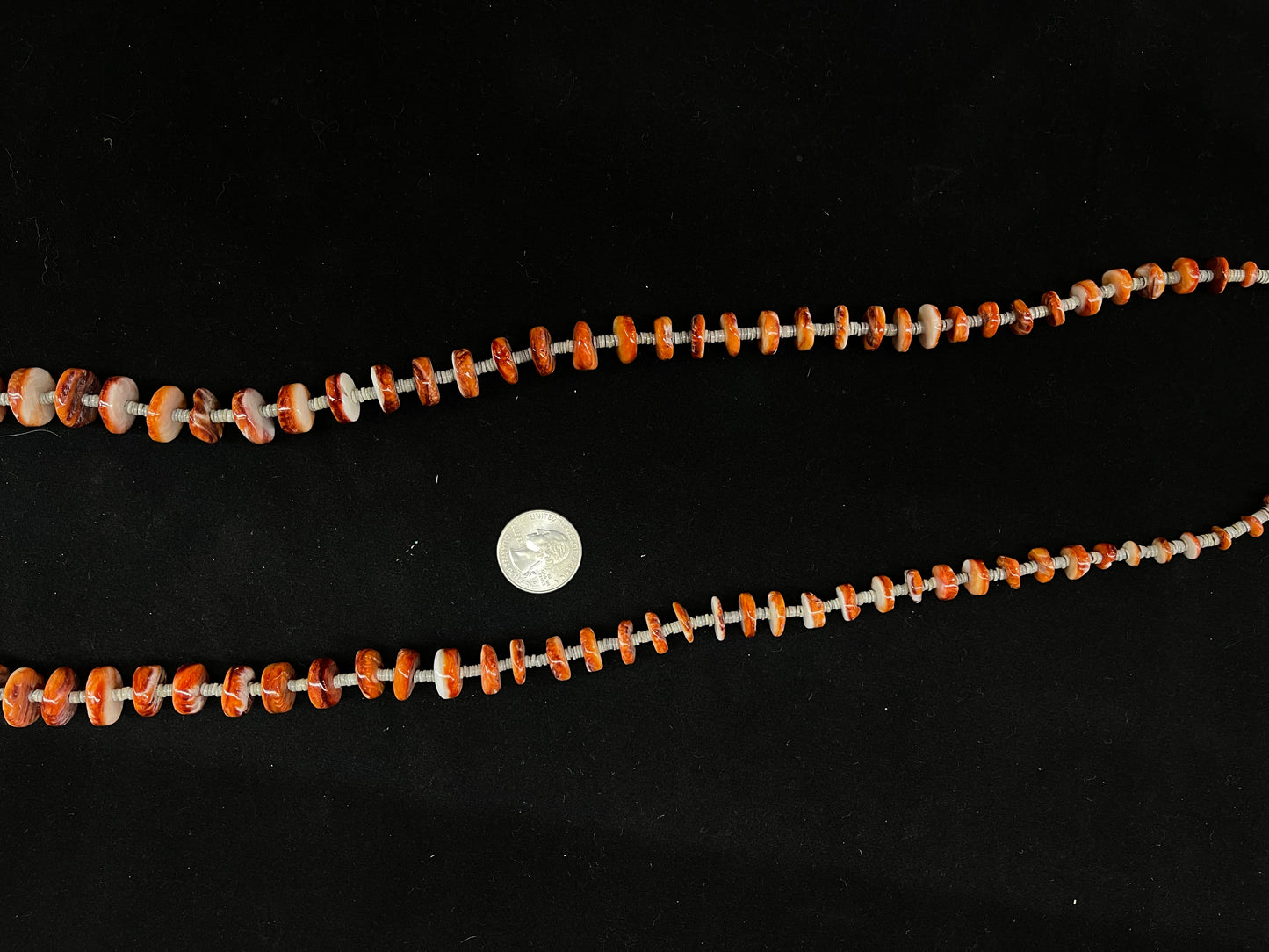 38” Spiny Oyster and Melon Shell Necklace