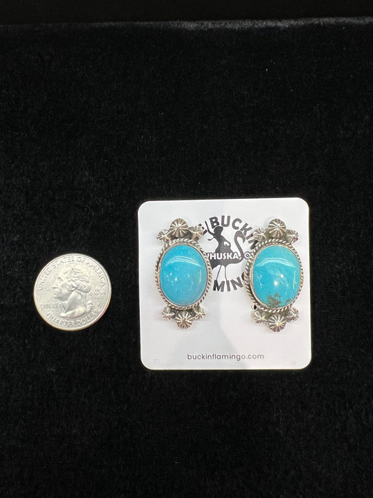Natural Sleeping Beauty Turquoise and Sterling Silver Post Earrings