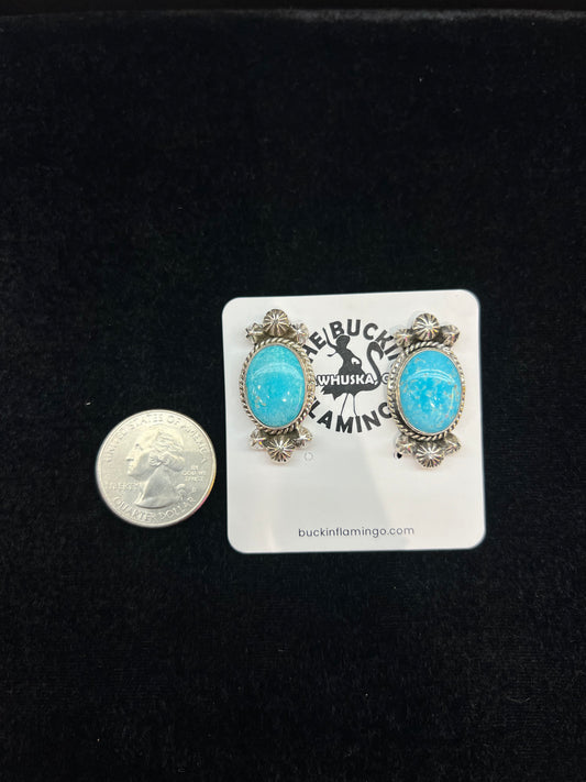 Natural Sleeping Beauty Turquoise and Sterling Silver Post Earrings