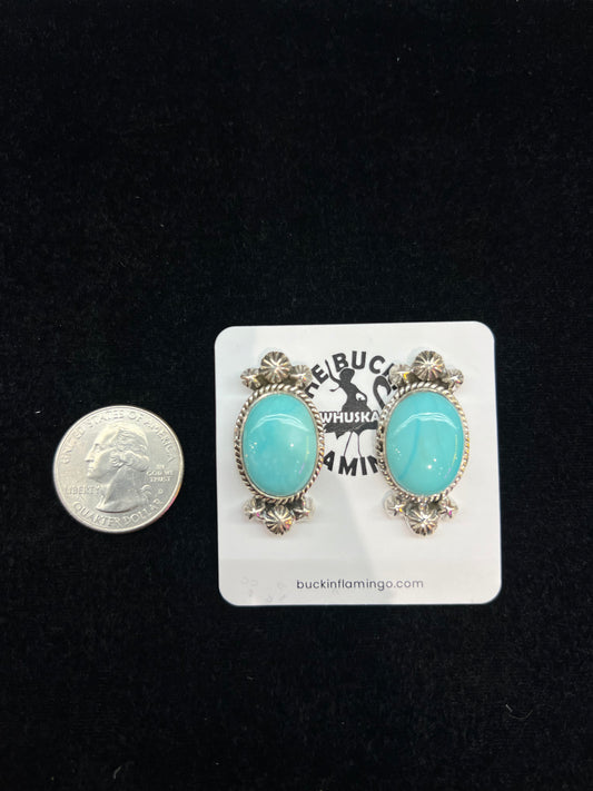 Natural Sleeping Beauty Turquoise and Sterling Silver Post Earrings