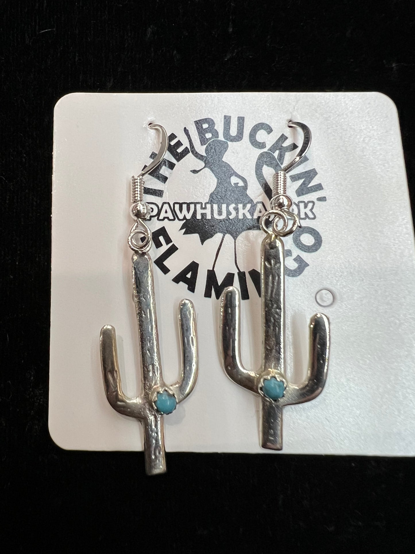 Sterling Silver Cactus Hook Earrings, Navajo Made