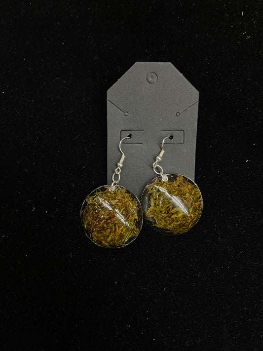 Sweet Grass Resin Dangle Earrings