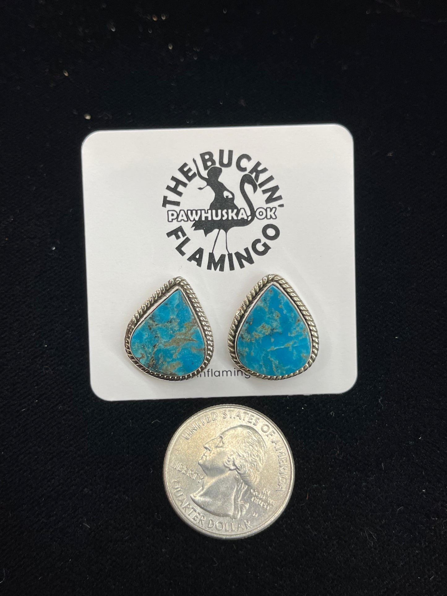 Kingman Turquoise Post Earrings