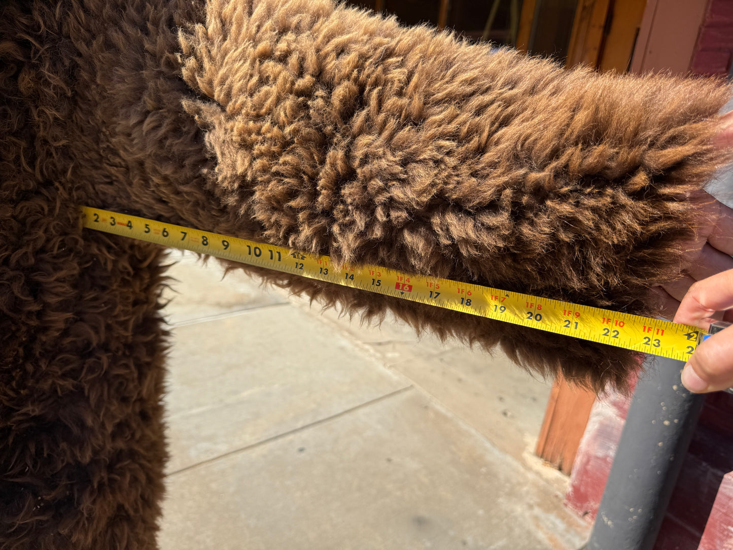 XL - 2X Buffalo Coat