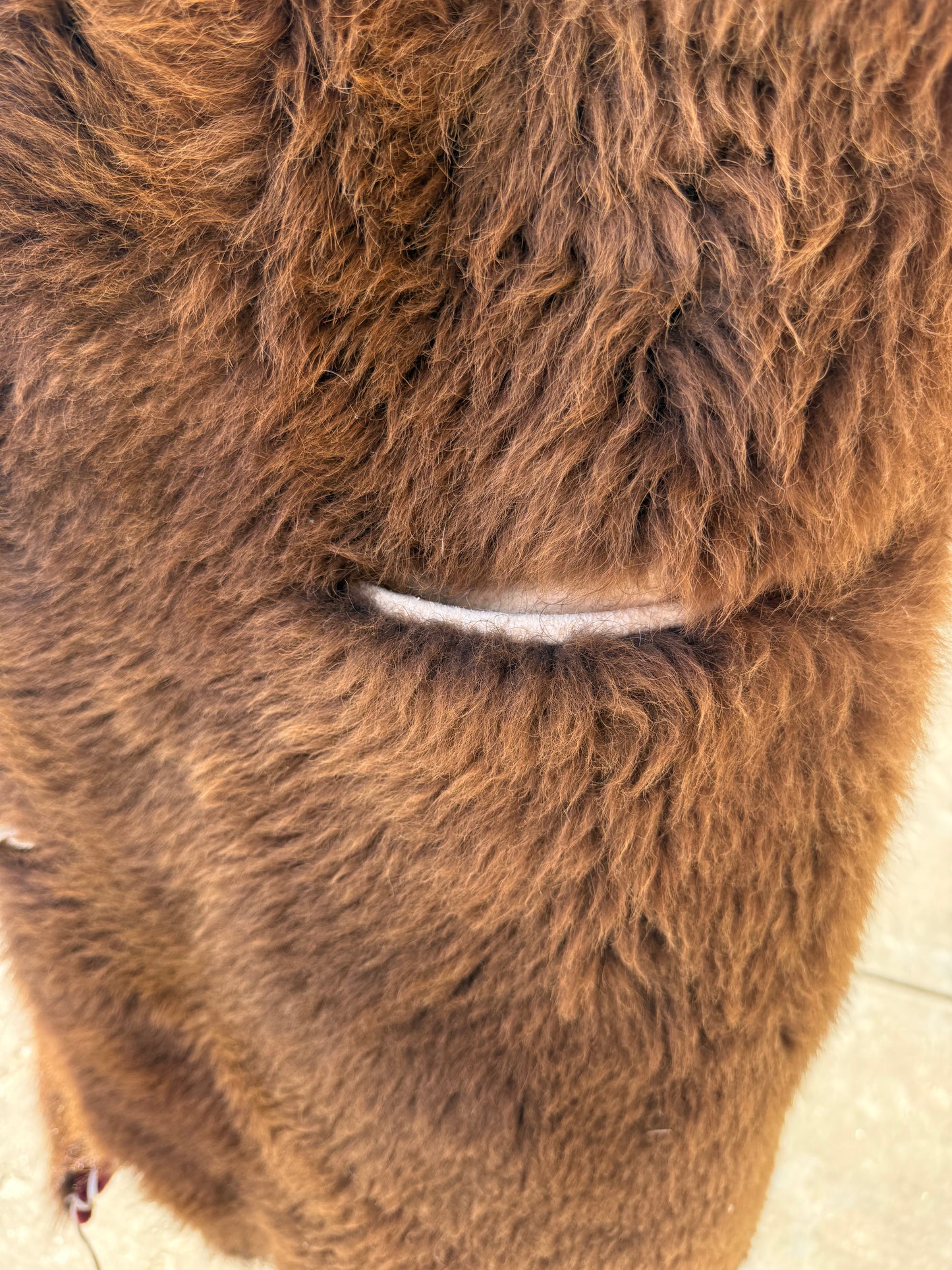 XL - 2X Buffalo Coat