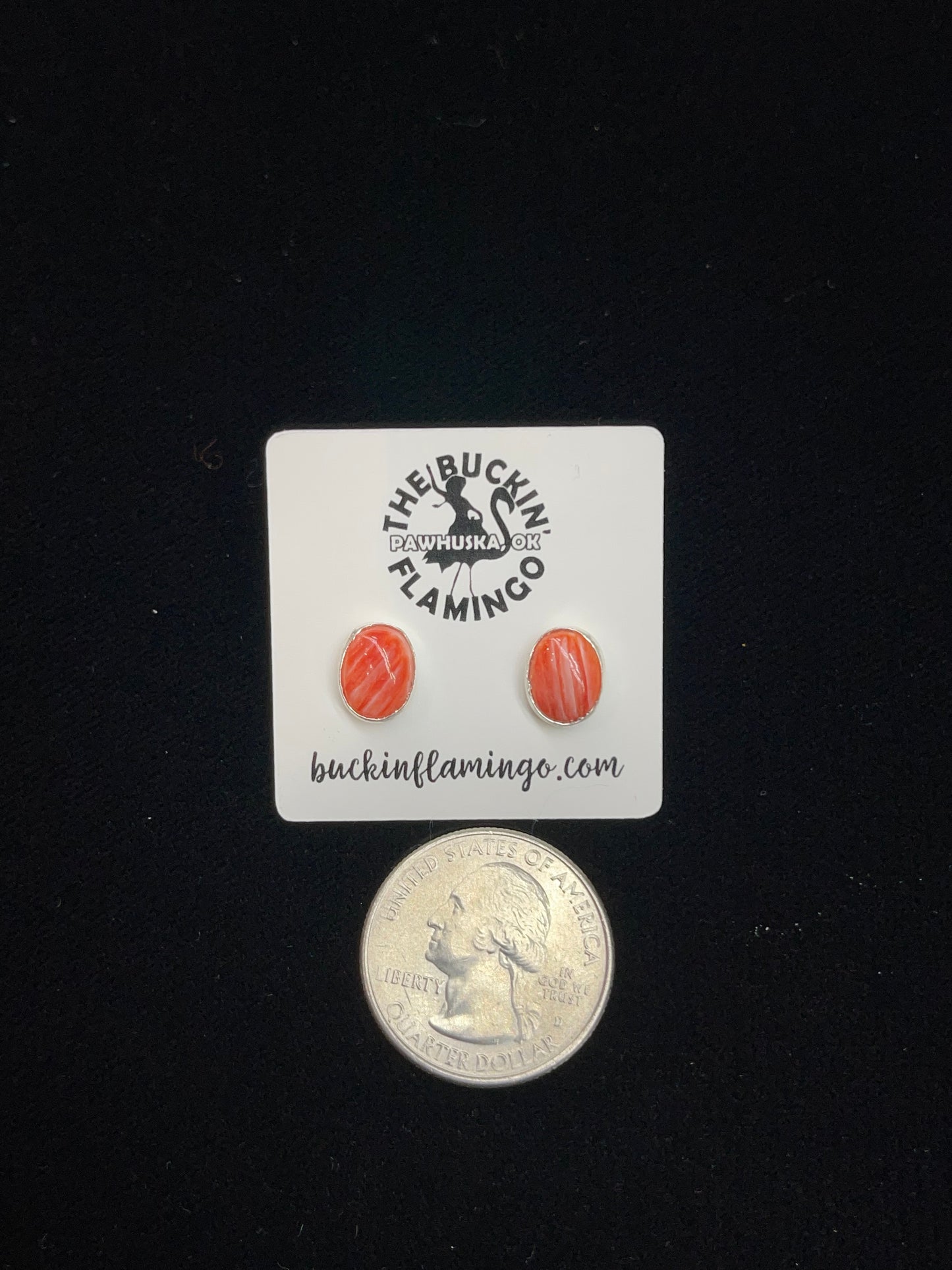 Red Spiny Oyster Stud Earrings