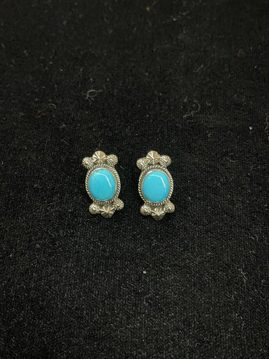 White Water Turquoise Post Earrings