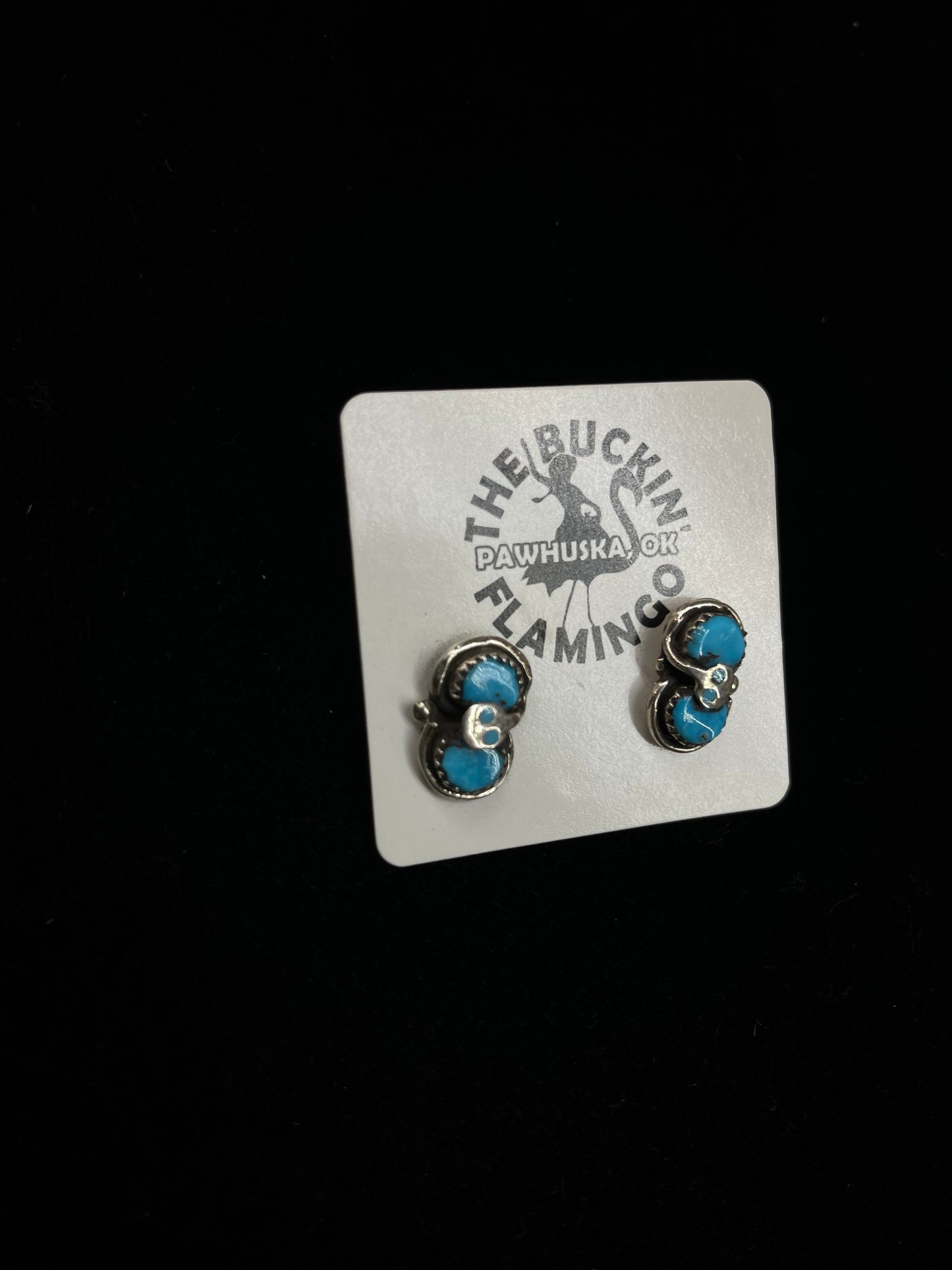 Sleeping Beauty Turquoise Snake Post Earrings, Zuni