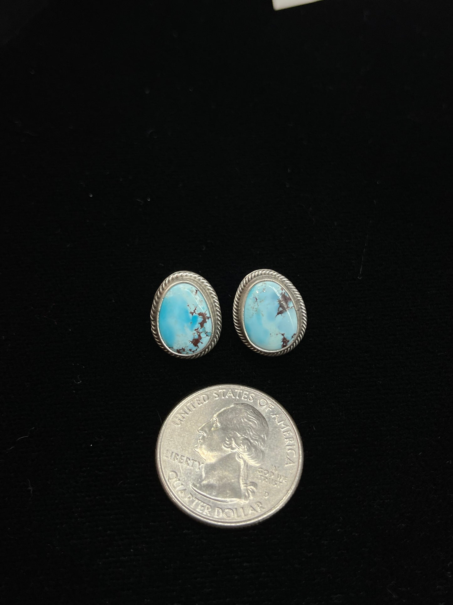 Golden Hills Turquoise Post Earrings by Tatum Skeets