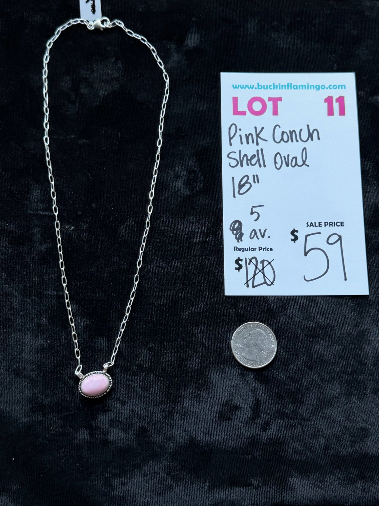 LOT 11 7/12 Pink Conch Shell Oval 18”