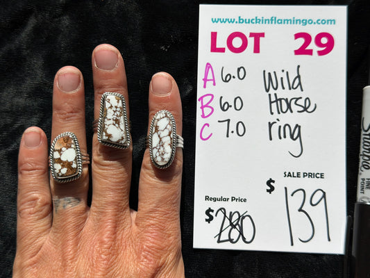 LOT 29 A 7/18 6.0 Wild Horse Ring