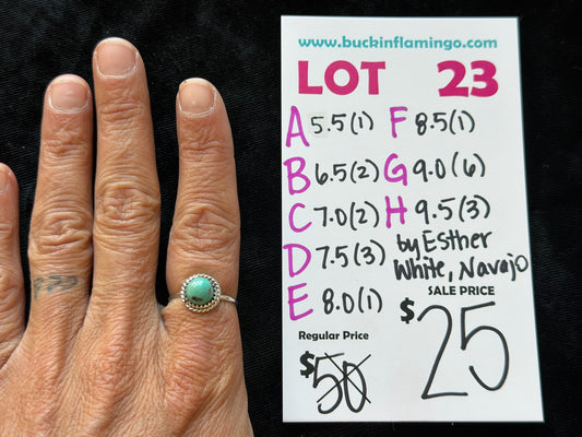 LOT 23 G 8/30 9.0 by Esther White, Navajo