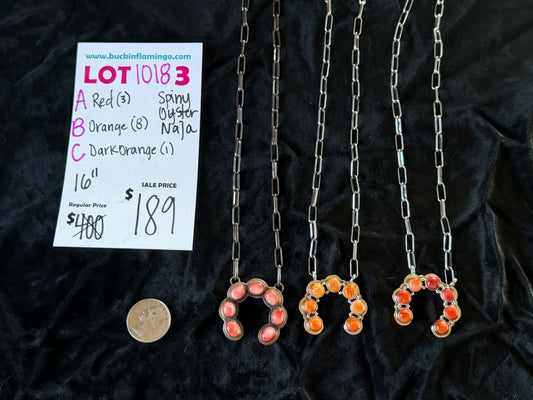 LOT 3 C 10/18 Dark Orange Spiny Oyster Naja 16”