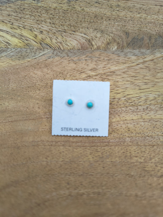 Sleeping Beauty Turquoise 3.5 mm Small Post Earrings