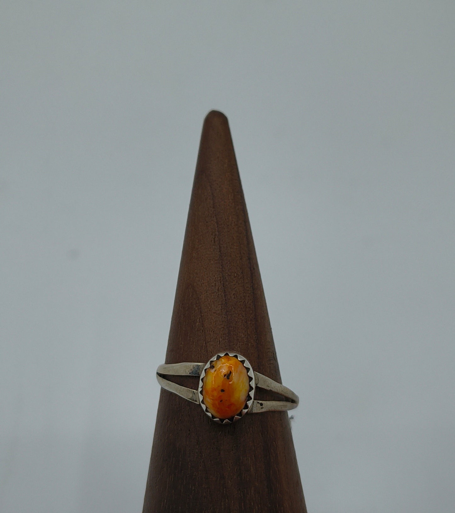 6.5 Small Spiny Oyster Ring