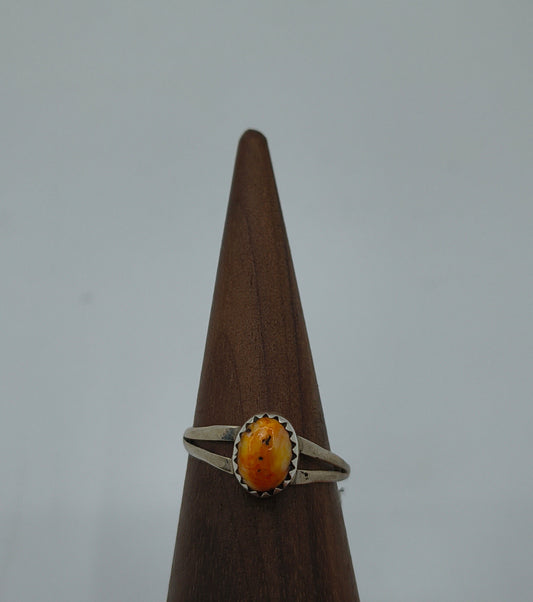 6.5 Small Spiny Oyster Ring