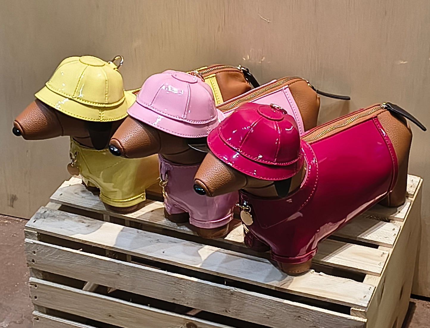 Weiner Dog in a Raincoat Purse
