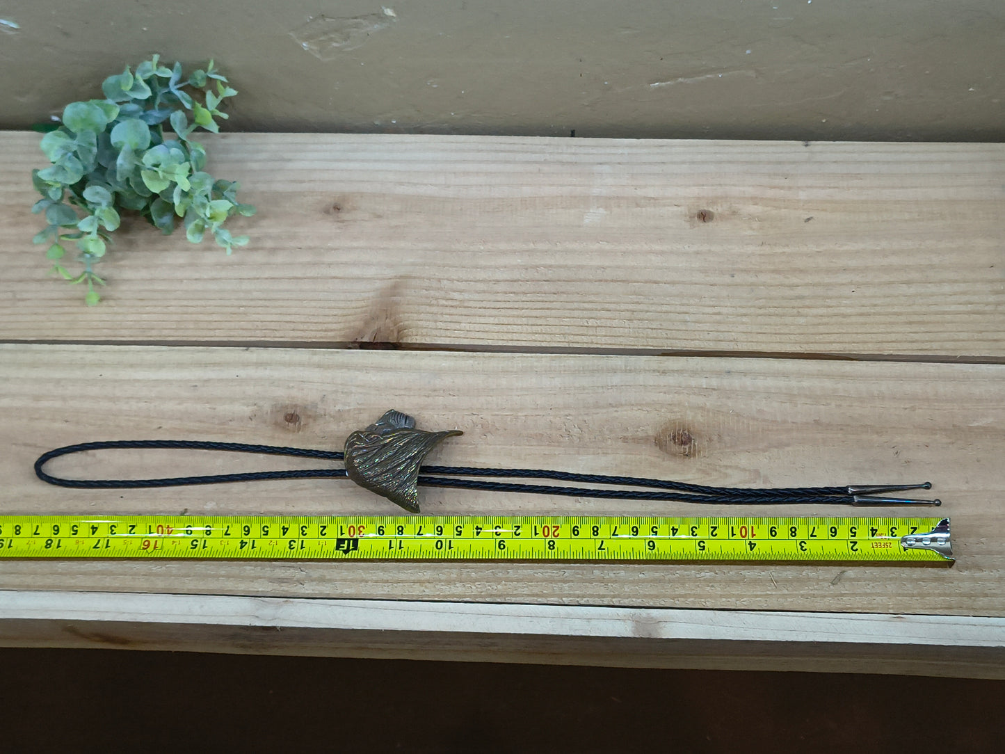 38" Lion Head Black Bolo Tie