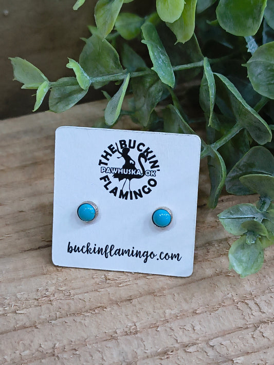Small Sleeping Beauty 5.5 mm Turquoise Post Earrings