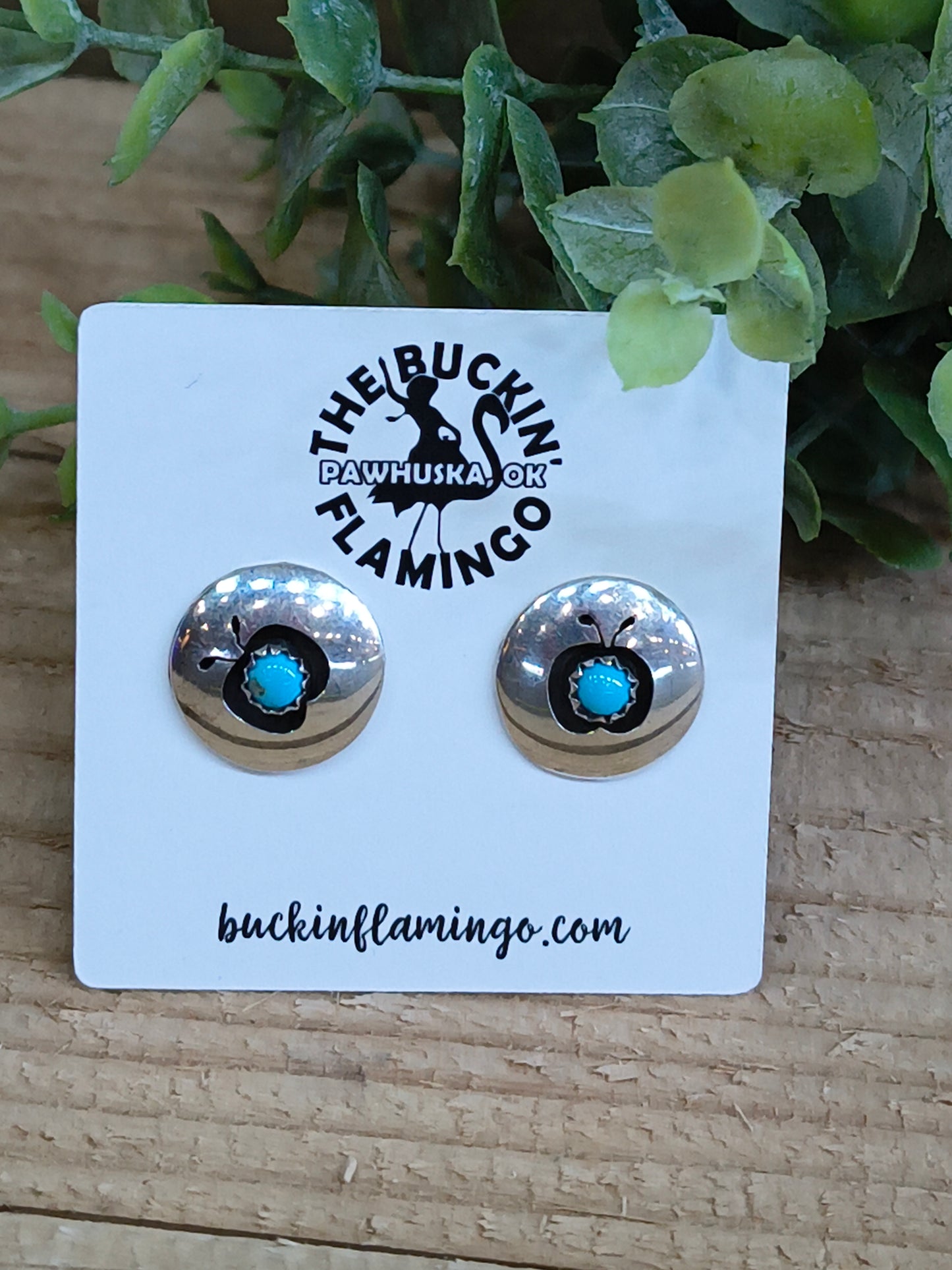 Shadowbox Apple Turquoise Post Earrings