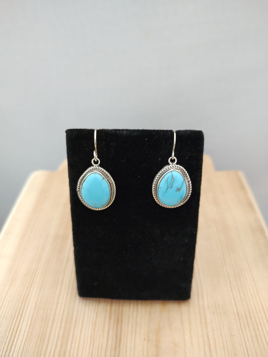 Egyptian Turquoise Hook Earrings