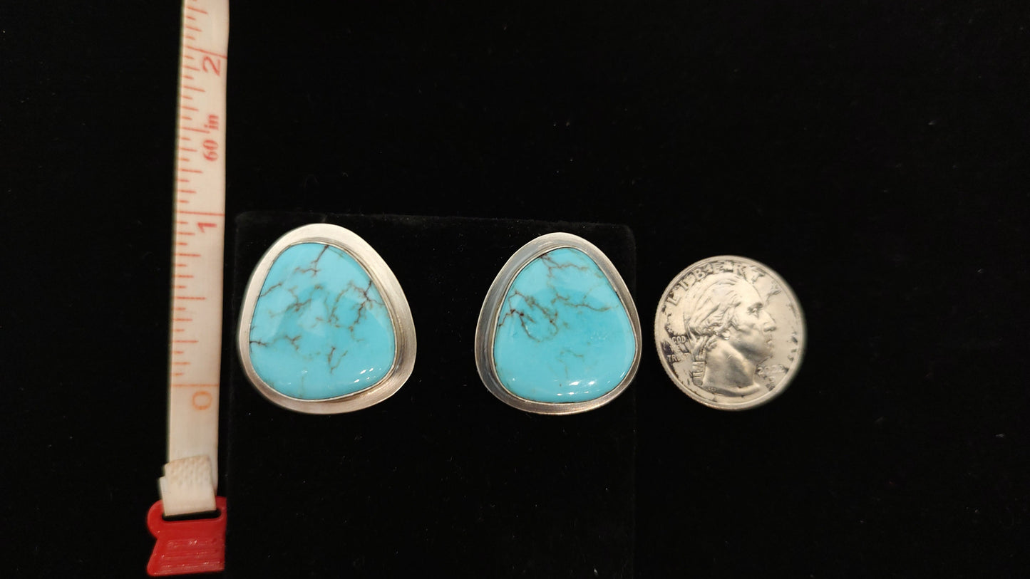 Egyptian Turquoise Post Earrings