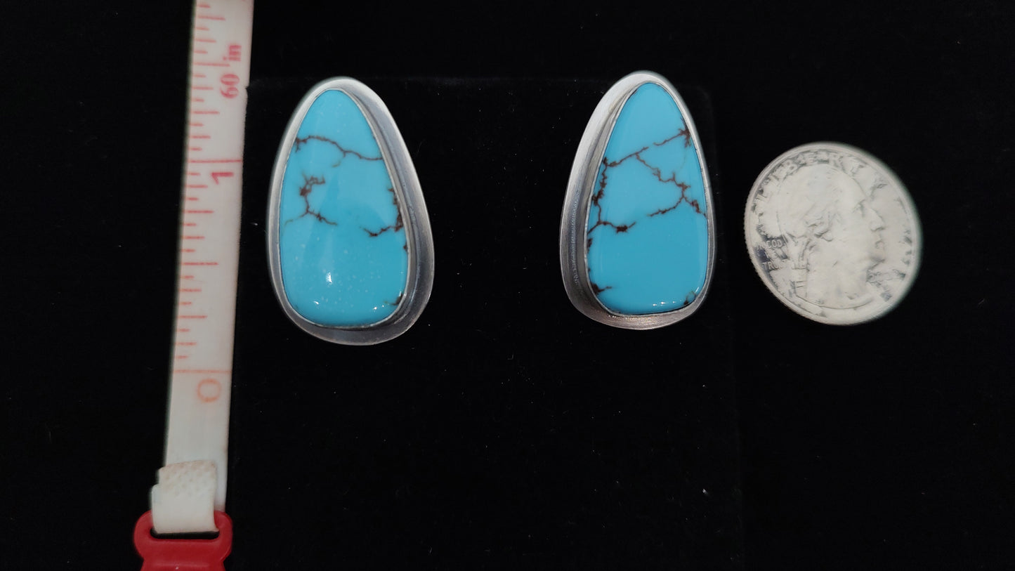 Egyptian Turquoise Post Earrings