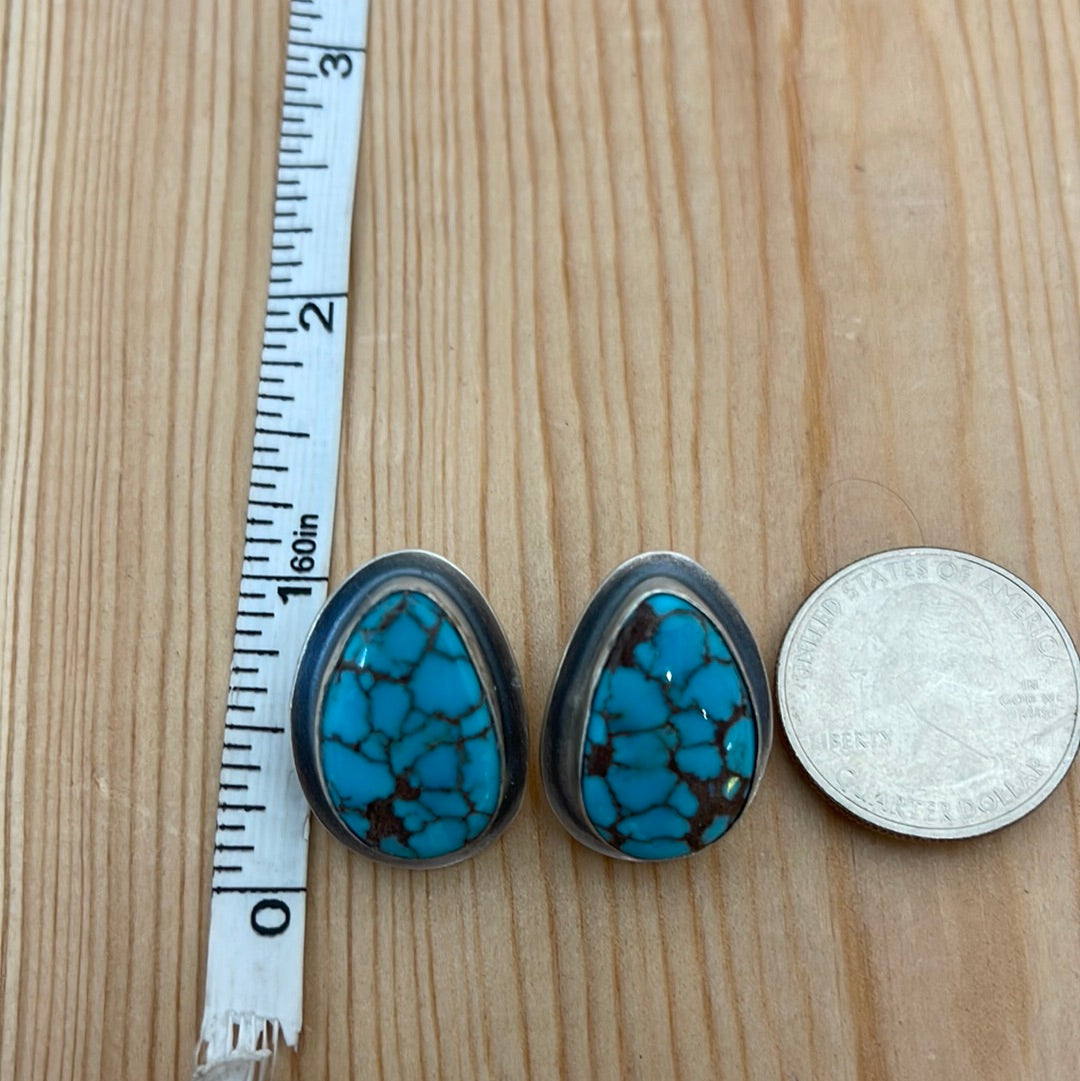 Egyptian Turquoise Post Earrings