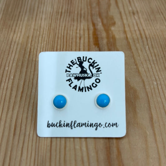 Sleeping Beauty Turquoise 6.5 mm Post Earrings