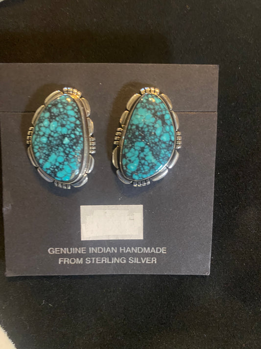 Highgrade Kingman Web Turquoise Post