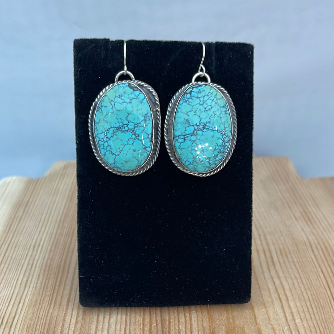 Egyptian Turquoise Oval Hook Earrings