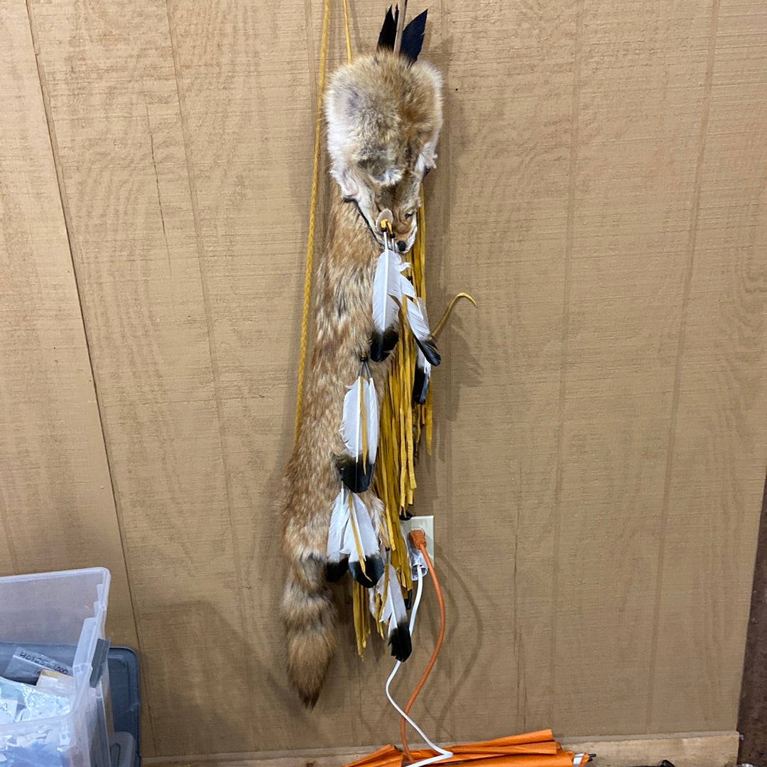 Authentic Coyote Arrow Quiver with 2 Arrows