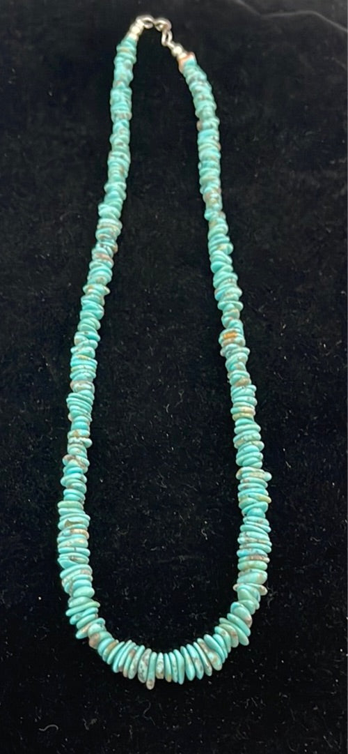 Natural Dry Creek Turquoise 20 Inch Necklace