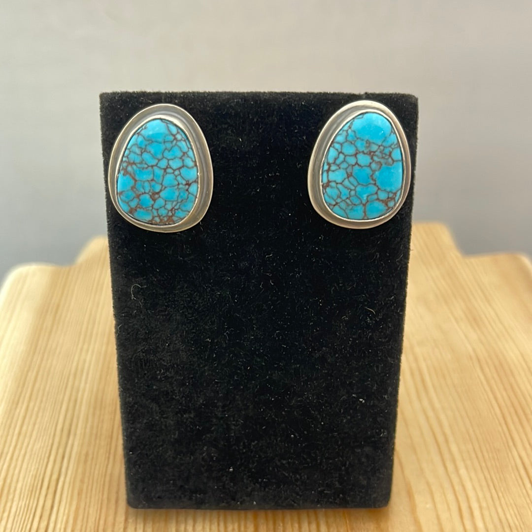 Egyptian Turquoise Post Earrings